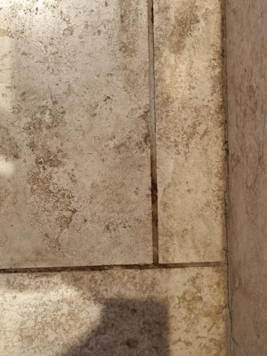 TileBefore cropped.jpg