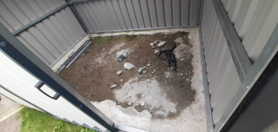 shed_inside2.jpg (368.39 KiB) Viewed 1322 times shed_inside2.jpg