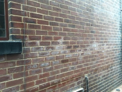 Salting on external wall after repointing - appears every day