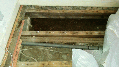 Damp soil near outside wall