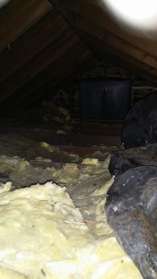 Old Insulation