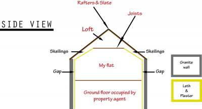 Side View Illustration