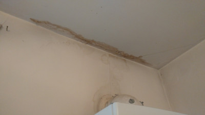 Damp on ceiling below hole