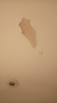 Flakey ceiling.jpg