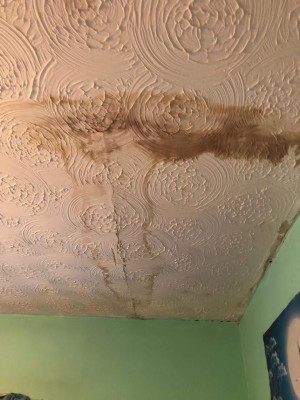 ceiling crack.jpg