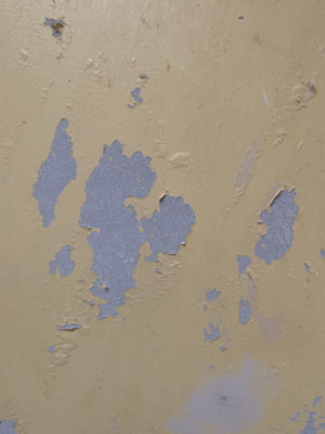 Example of flaked/bubbled paint that was under wallpaper