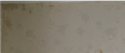 Wallpaper with brown blotches clearly visible near the top