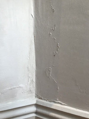 Lower Corner of Wall by Skirting