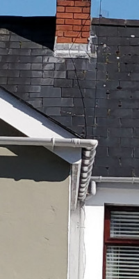 Chimney Linewee.jpg