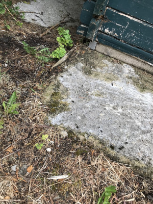 concrete1b.jpg