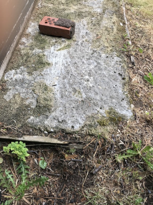 concrete2b.jpg