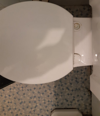 Toilet seat pic 1.jpg