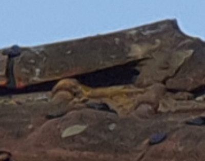 Raised ridge tile