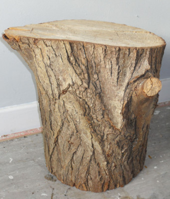 Tree1.jpg