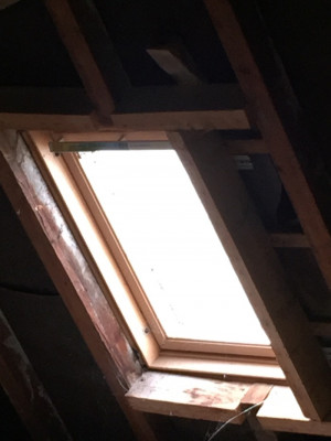 Possible velux damp?