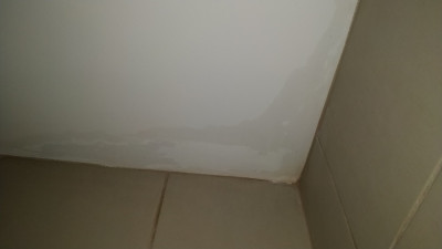 bathroom-ceiling-14Nov.jpg