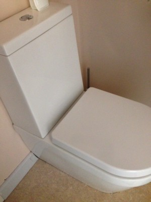 Toilet toilet seat and leaking towel rail.