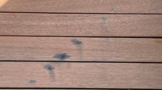 fence1.PNG