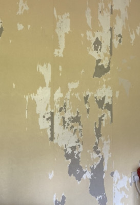 D79D5D5C-45CE-4497-84E4-5B4D505B0E52.jpeg