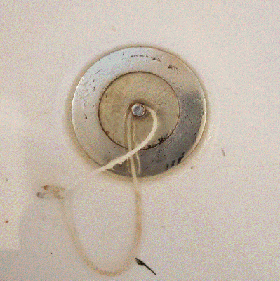 bath plug 3.gif