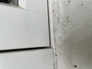 956C264C-755B-4E50-BA9A-AA20939CF0D8.jpeg