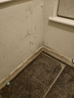 20230930_194612.jpg