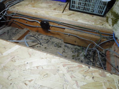 Crawl space cables.JPG
